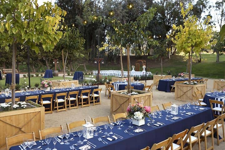 Wedding/Banquet 58 of 62